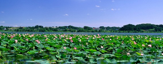 国外旅游